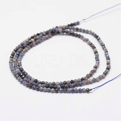 Natural Sapphire Gemstone Beads Strands G-K182-2mm-22A-1