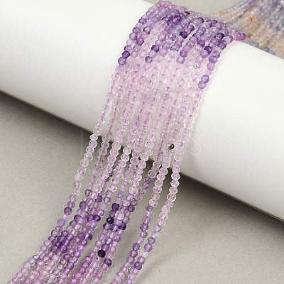 Natural Fluorite Beads Strands G-F789-01-2mm-1