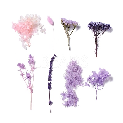 Dried Flowers X-DIY-D052-11-1