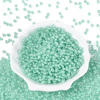 FGB Glass Seed Beads SEED-Q040-08A-10-1