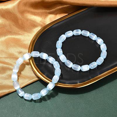 Dyed Natural Selenite Column Beaded Stretch Bracelets for Women BJEW-I312-05B-1
