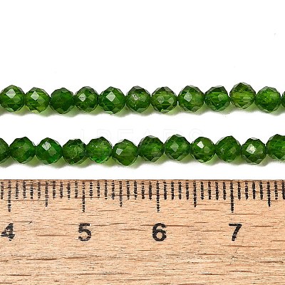 Natural Green Diopside Beads Strands G-NH0046-A01-02-1
