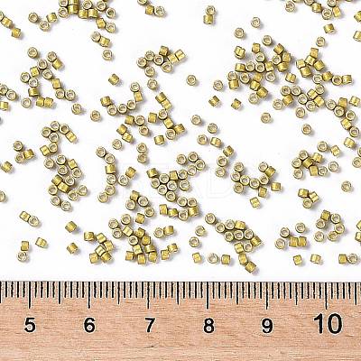 MIYUKI Delica Beads SEED-X0054-DB1164-1