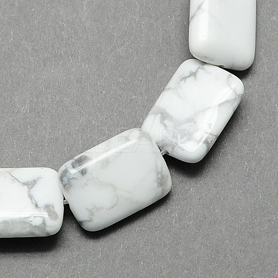 Rectangle Shaped Gemstone Natural Howlite Stone Beads Strands G-S112-23-1
