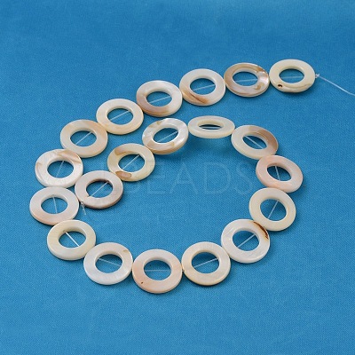 Natural White Shell Beads Strands PBB-XXBK014Y-13-1