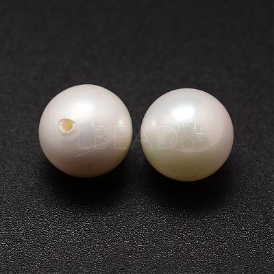 Shell Pearl Beads BSHE-L031-01-16mm-1