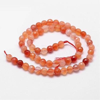 Natural Carnelian Beads Strands G-D840-34-8mm-1