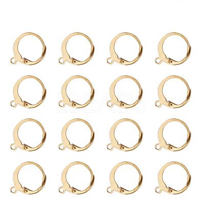 304 Stainless Steel Leverback Earring Findings X-STAS-G081-62G-1