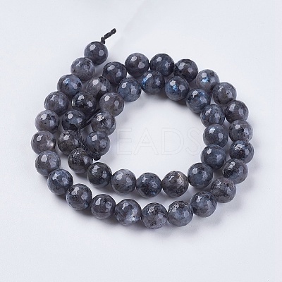 Natural Larvikite Beads Strands LS-G-G542-8mm-27-1