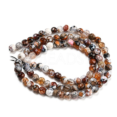 Dyed Natural Fire Crackle Agate Beads Strands G-G007-01G-1