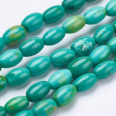 Natural Magnesite Beads Strands TURQ-K003-01B-1