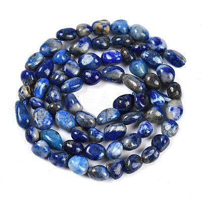 Natural Lapis Lazuli Beads Strands G-P497-01B-14-1