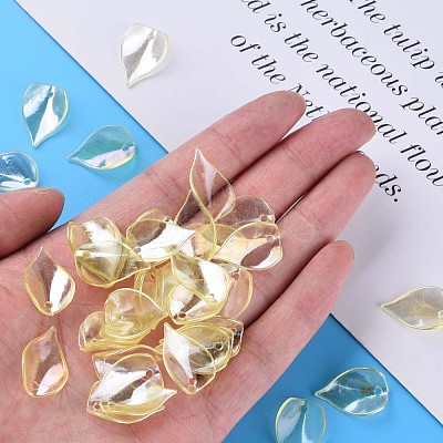Transparent Acrylic Beads MACR-S373-103-C01-1