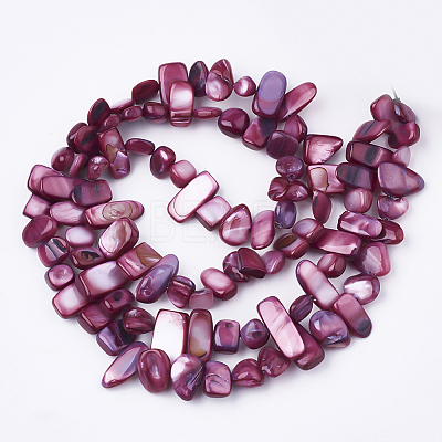Freshwater Shell Beads Strands X-SHEL-S274-40G-1