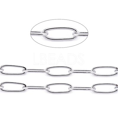 Non-Tarnish 3.28 Feet 304 Stainless Steel Paperclip Chains X-CHS-F010-01B-P-01-1