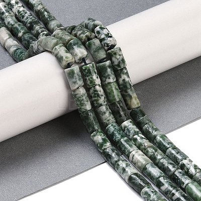 Natural Green Spot Jasper Beads Strands G-C128-A17-01-1