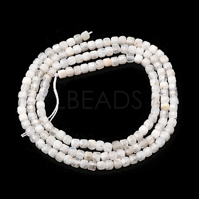 Natural Rainbow Moonstone Beads Strands G-G140-C01-02-1