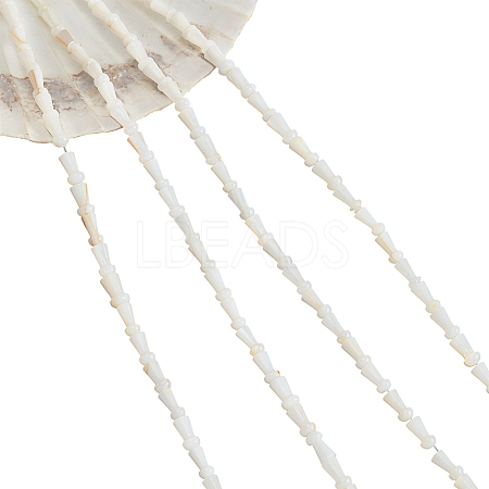 4 Strands Natural Freshwater Shell Beads Strands SHEL-NB0001-52-1