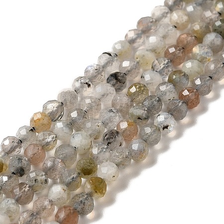 Natural Labradorite Beads Strands LS-G-I341-11-1