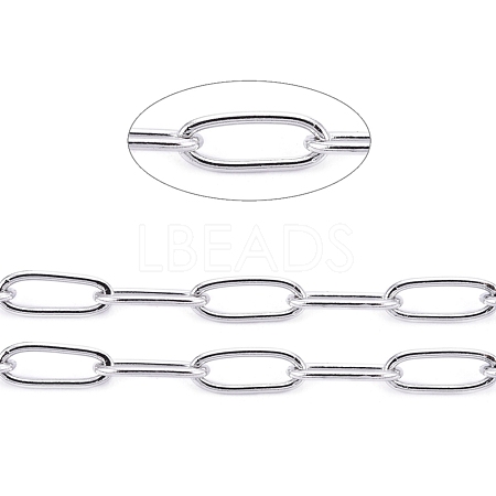 Non-Tarnish 3.28 Feet 304 Stainless Steel Paperclip Chains X-CHS-F010-01B-P-01-1