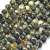 Natural African Turquoise(Jasper) Beads Strands G-K389-E71-01-1