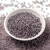 MIYUKI Round Rocailles Beads SEED-X0055-RR0168-2