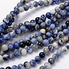 Natural Sodalite Beads Strand GSR12mmC013-1