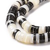 Natural Trochid Shell Beads Strands SSHEL-G023-02A-04-3