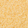MIYUKI Round Rocailles Beads SEED-G007-RR0516-3