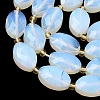 Opalite Beads Strands G-A295-A12-01-4