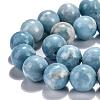 Natural Gemstone Beads Strands G-L367-01-6mm-5