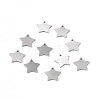 304 Stainless Steel Pendants STAS-F271-04A-P-1