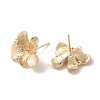 Golden Brass Micro Pave Cubic Zirconia Stud Earring Findings KK-P253-05D-G-2