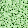Baking Paint Glass Seed Beads X1-SEED-K010-A18-2