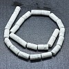 Natural Howlite Beads Strands G-F631-F03-2