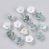 Frosted Transparent Acrylic Beads OACR-N137-72L-2