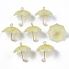 Acrylic Pendants X-KY-S163-093A-04-1