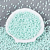 Opaque Glass Seed Beads SEED-N012-09A-06-2