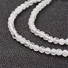 Natural Rainbow Moonstone Bead Strand G-G680-53-3