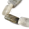 Natural Labradorite Beads Strands G-S386-A03-4