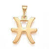 304 Stainless Steel Pendants STAS-L210-06B-G-1