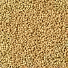 TOHO 11/0 Round Beads SEED-XTR11-PF0557F-2