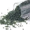 TOHO Round Seed Beads SEED-XTR15-0119-1