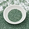 MIYUKI Delica Beads SEED-JP0008-DB2190-2