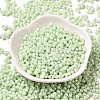 Opaque Colours Luster Glass Seed Beads SEED-B001-01A-10-2