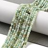 Natural Chrysoprase Beads Strands G-G140-C07-02-2