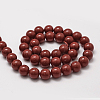 Shell Pearl Beads Strands BSHE-L026-01-8mm-2