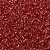 MIYUKI Delica Beads X-SEED-J020-DB2159-3