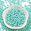 Baking Paint Glass Seed Beads SEED-A032-02C-2