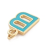 Rack Plating Brass Pendants KK-C065-03B-G-2